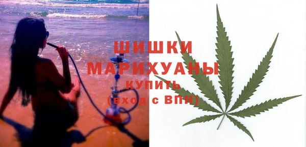 мет Инсар