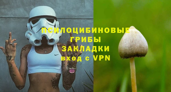 мет Инсар
